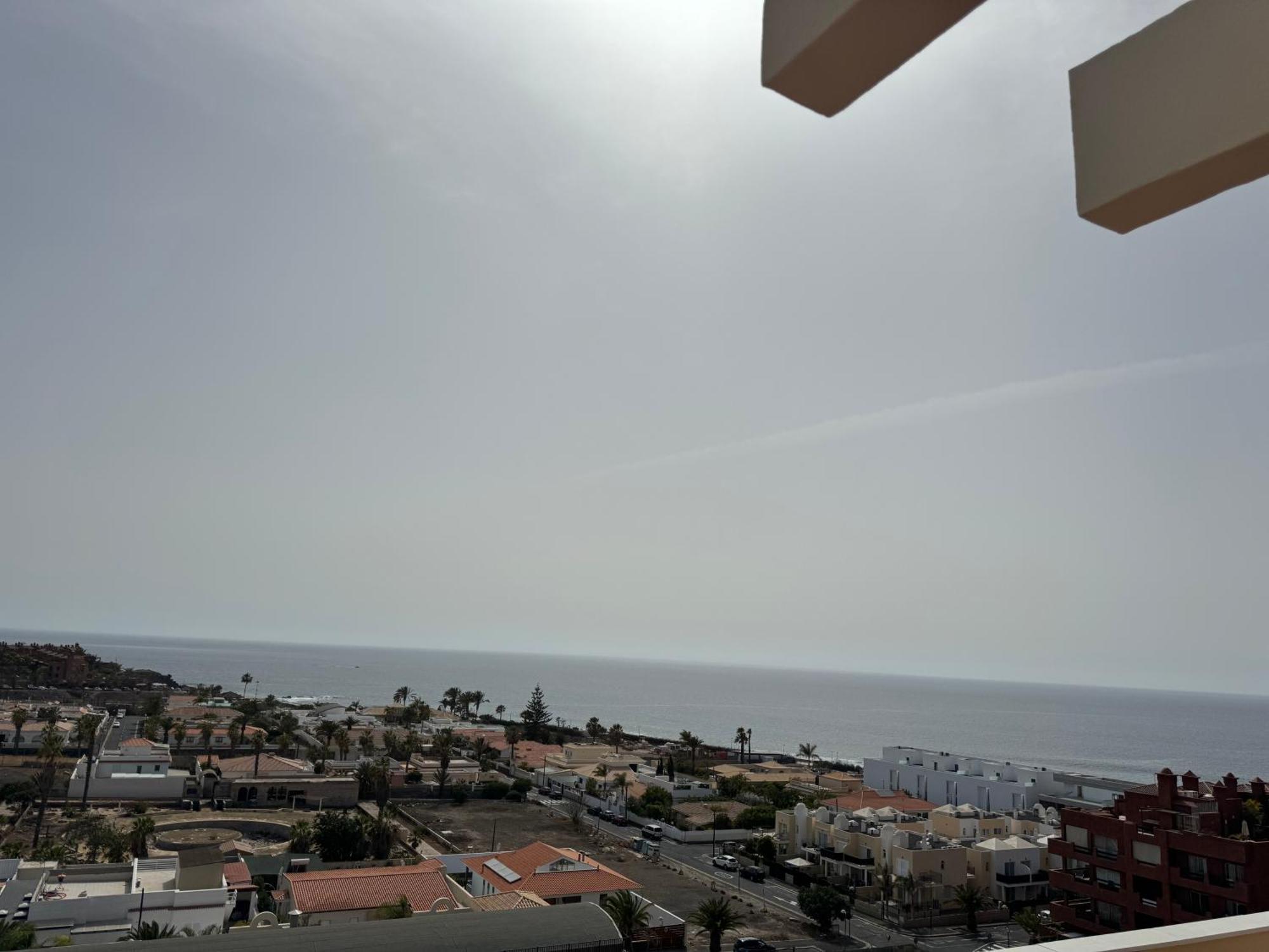 Ocean Deluxe Palm-Mar Daire Dış mekan fotoğraf